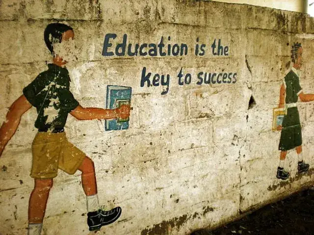 School and Educator Capacity Building